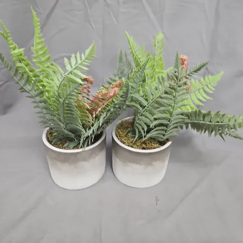 PAIR OF POTTED FERNS (HOUSEPLANTS)