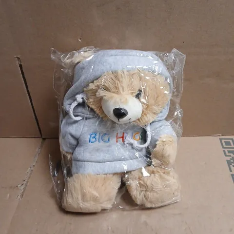 BIG HUGS TEDDY BEAR "BEAR HUGS TO YOU" IN BOX
