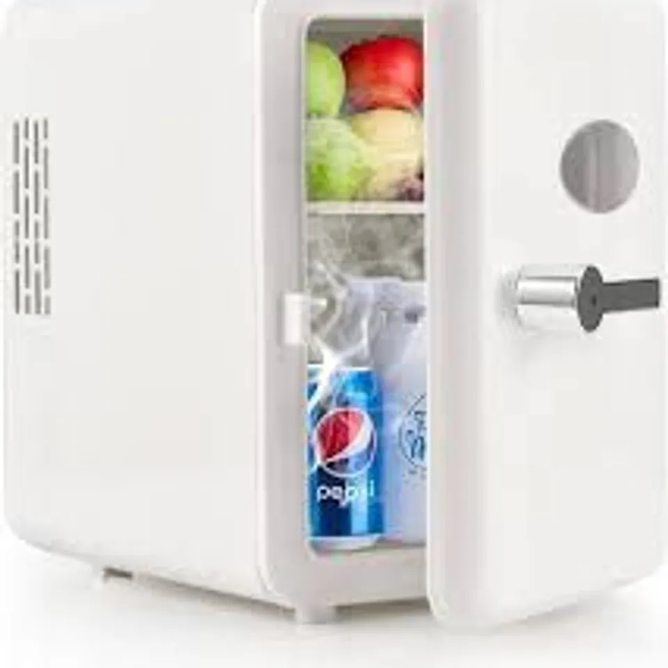 BOXED 12V MINI FRIDGE model LL-4AL