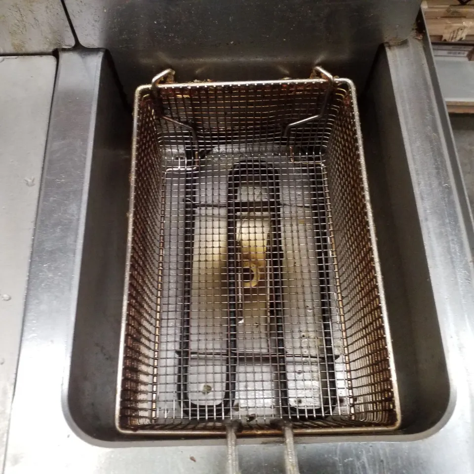 PARRY TWIN TANK ELECTRIC FRYER