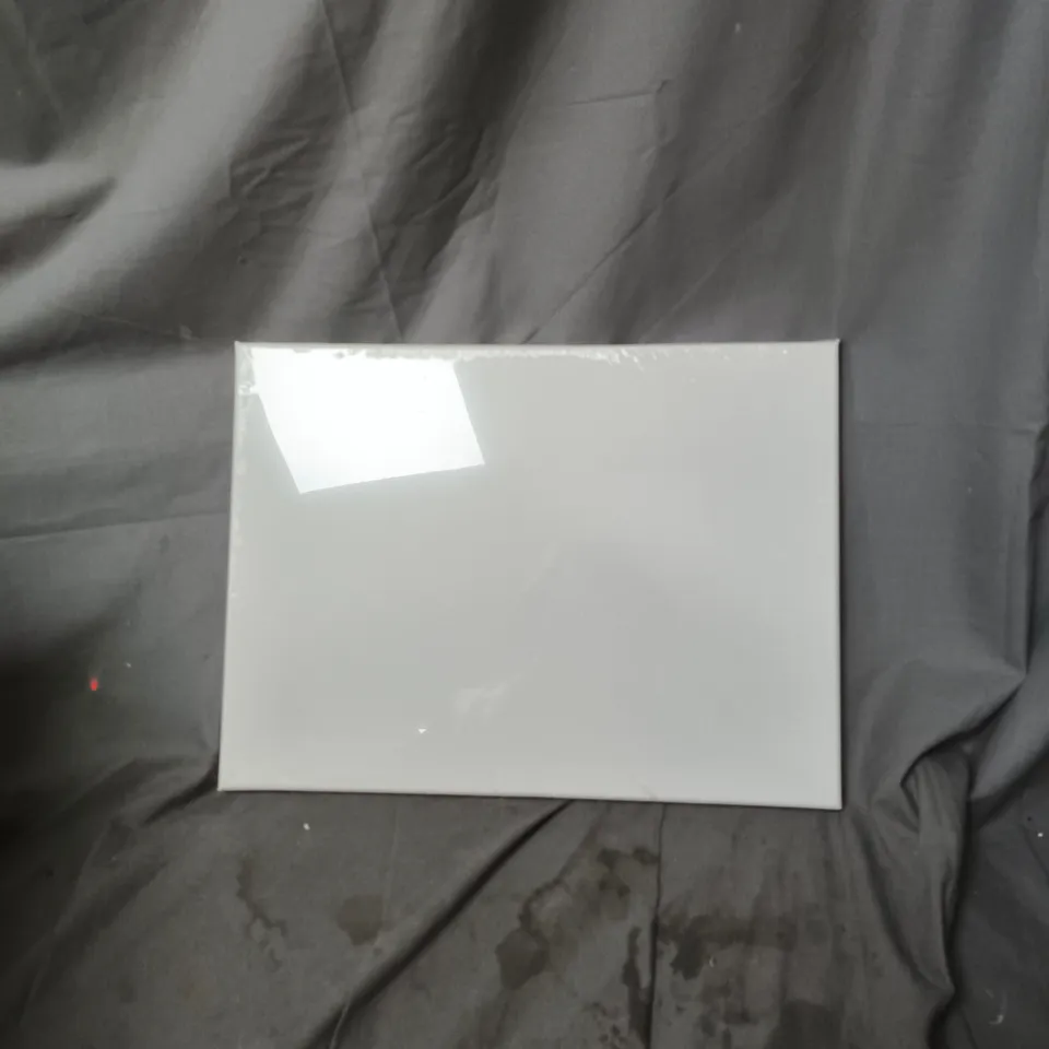 BOX OF APPROXIMATELY 12 BLANK ARTIST CANVAS 