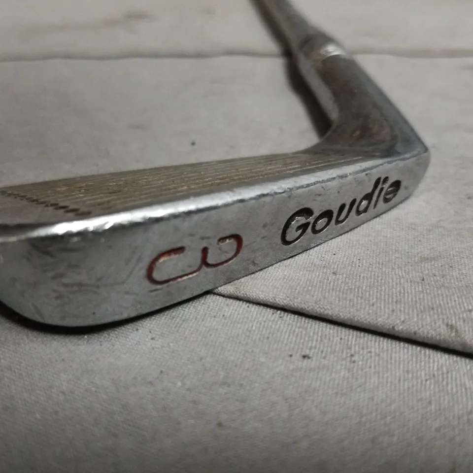 GOUDIE PETER TOWNSEND INTERNATIONAL GOLF CLUB (3)