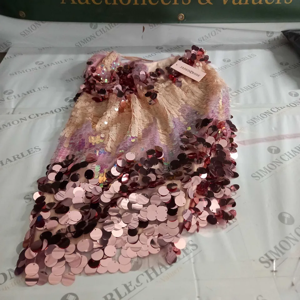 MULTI SEQUINS KISKA DRESS CORE - SIZE 10