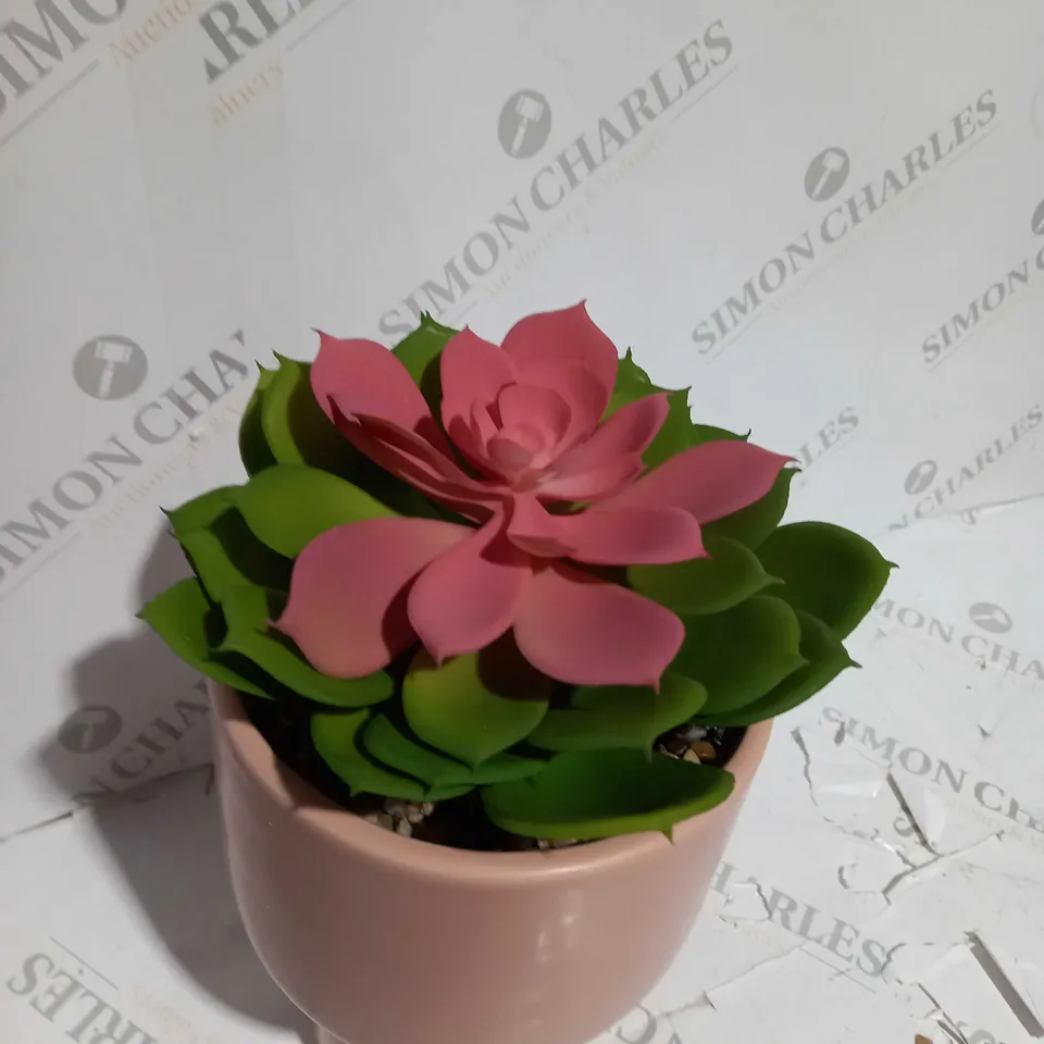 BUNDLEBERRY BY AMANDA HOLDEN STANDING PLANTER WITH LARGE SUCCULENT