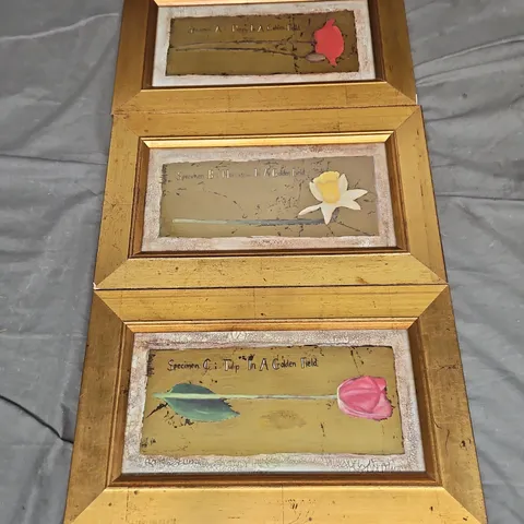 DAN HELY LOT OF 3 ASSORTED FRAMED FLOWER PAINTINGS - COLLECTION ONLY