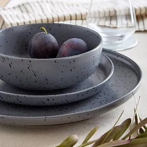 THE VERY COLLECTION GREY SPECKLE REACTIVE 12 PIECE DINNER SET