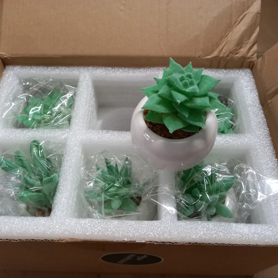LOT OF 6 ARTIFICIAL SUCCULENTS IN POTS