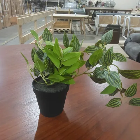 BOXED SMALL ARTIFICIAL POTTED PLANT