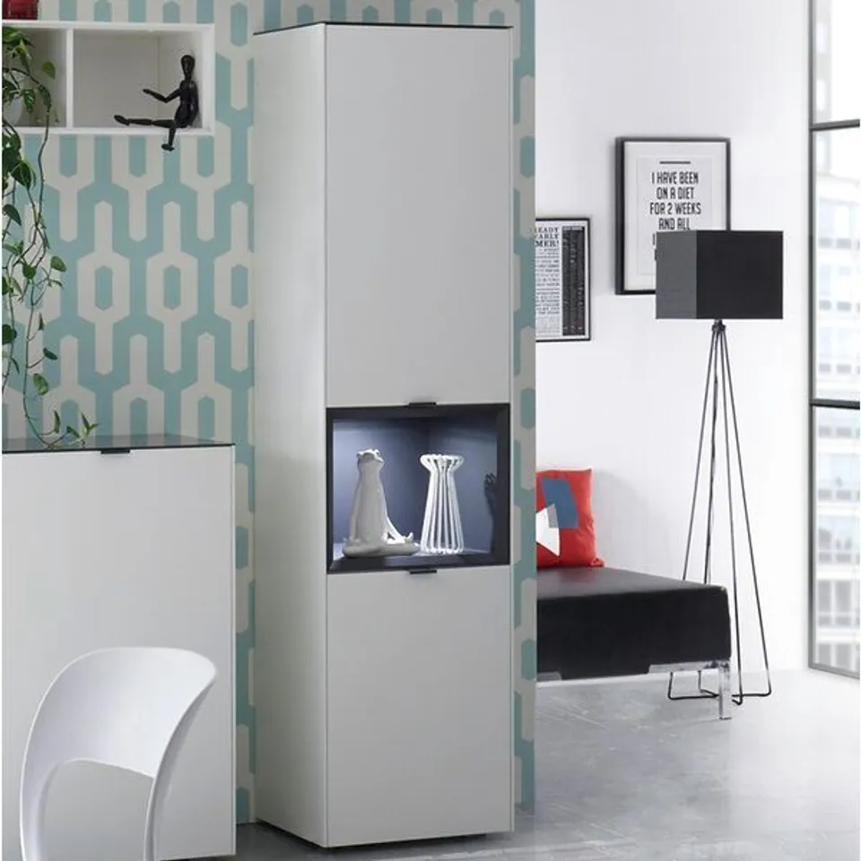 SALZMAN WALL MOUNTED DISPLAY CABINET