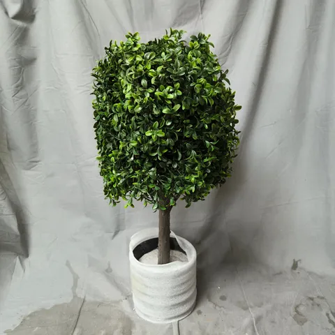 POTTED BOXWOOD TOPIARY SHRUB IN BLACK POT