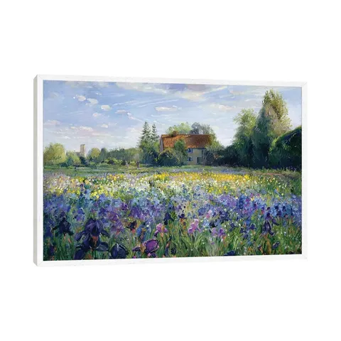 BOXED EVENING AT THE IRIS FIELD BY TIMOTHY EASTON - WRAPPED CANVAS PAINTING 