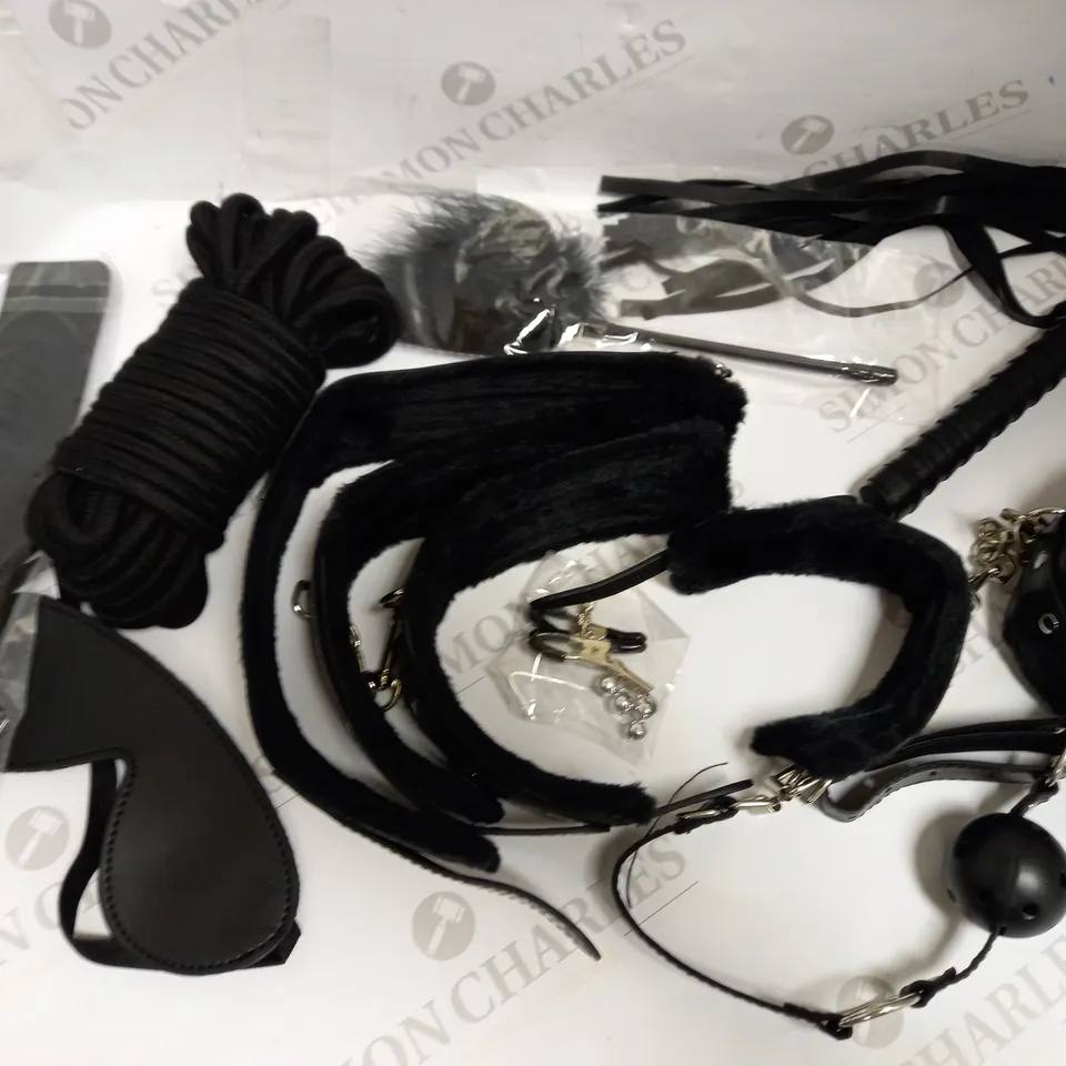10PC S&M BONDAGE KIT