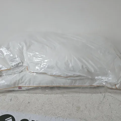 SET OF 2 PILLOWS