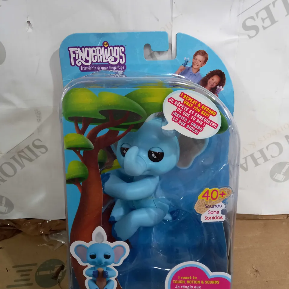 BOXED FINGERLINGS 5 YEARS+