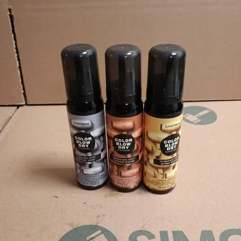 APPROXIMATELY 22 X ASSORTED MATRIX COLOR BLOW DRY HAIR CARE PRODUCTS TO INCLUDE PLATINUM SILVER, GOLDEN BLONDE ETC