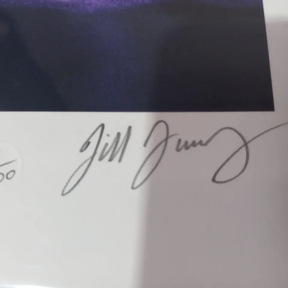 JILL FURMANOVSKY SIGNED LIMITED EDITION DARK SIDE OF THE MOON CUSTOM ART PRINT 13/100
