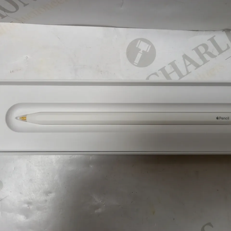 APPLE PENCIL (2ND GEN)