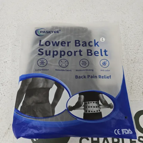 PASKYEE LOWER BACK SUPPORT BELT – SIZE L