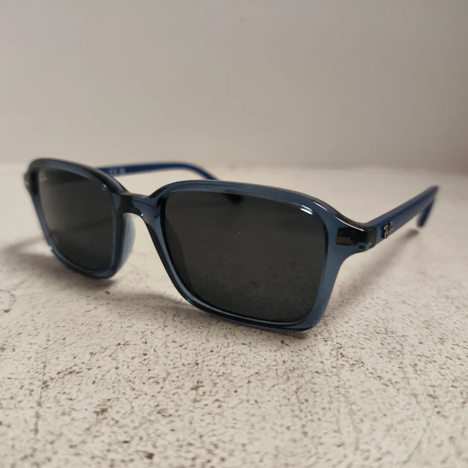 RAY-BAN BLUE PLASTIC-FRAME SUNGLASSES, MODEL RJ913IS