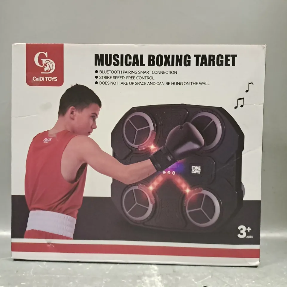 BOXED CAIDI TOYS MUSICAL BOXING TARGET