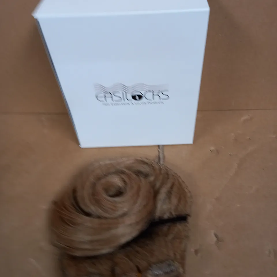EASILOCKS 10 PCS VOLUME HAIR PCS SAND AND VANILLA