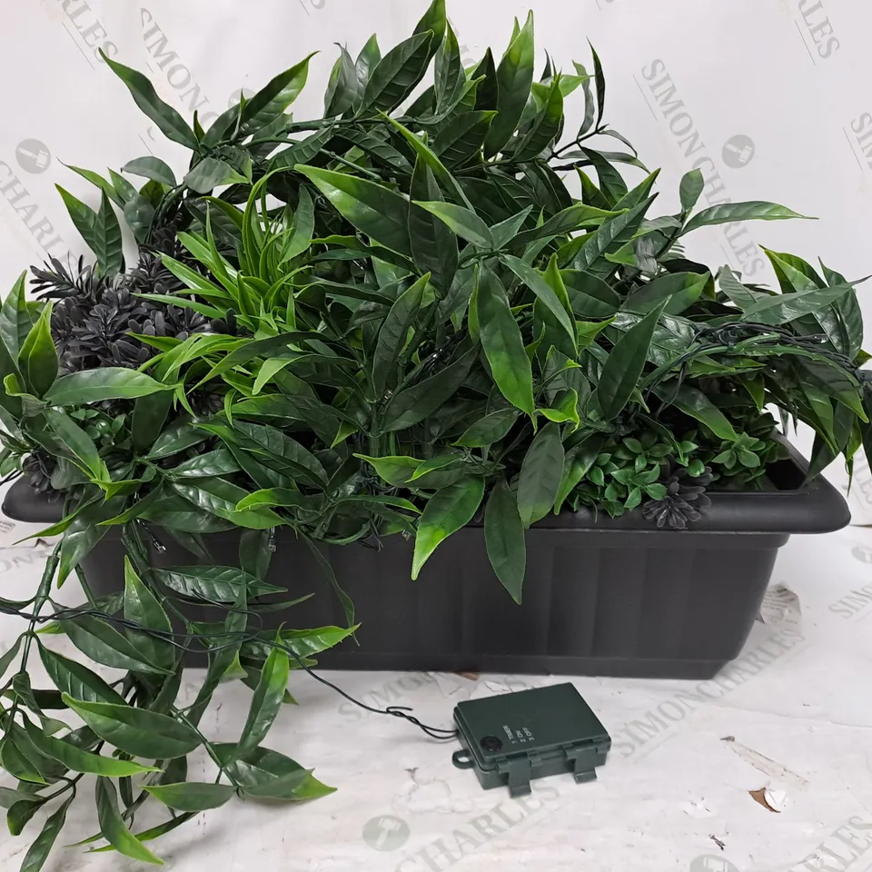 BUNDLEBERRY BY AMANDA HOLDEN PRE-LIT TROPICAL WINDOW BOX