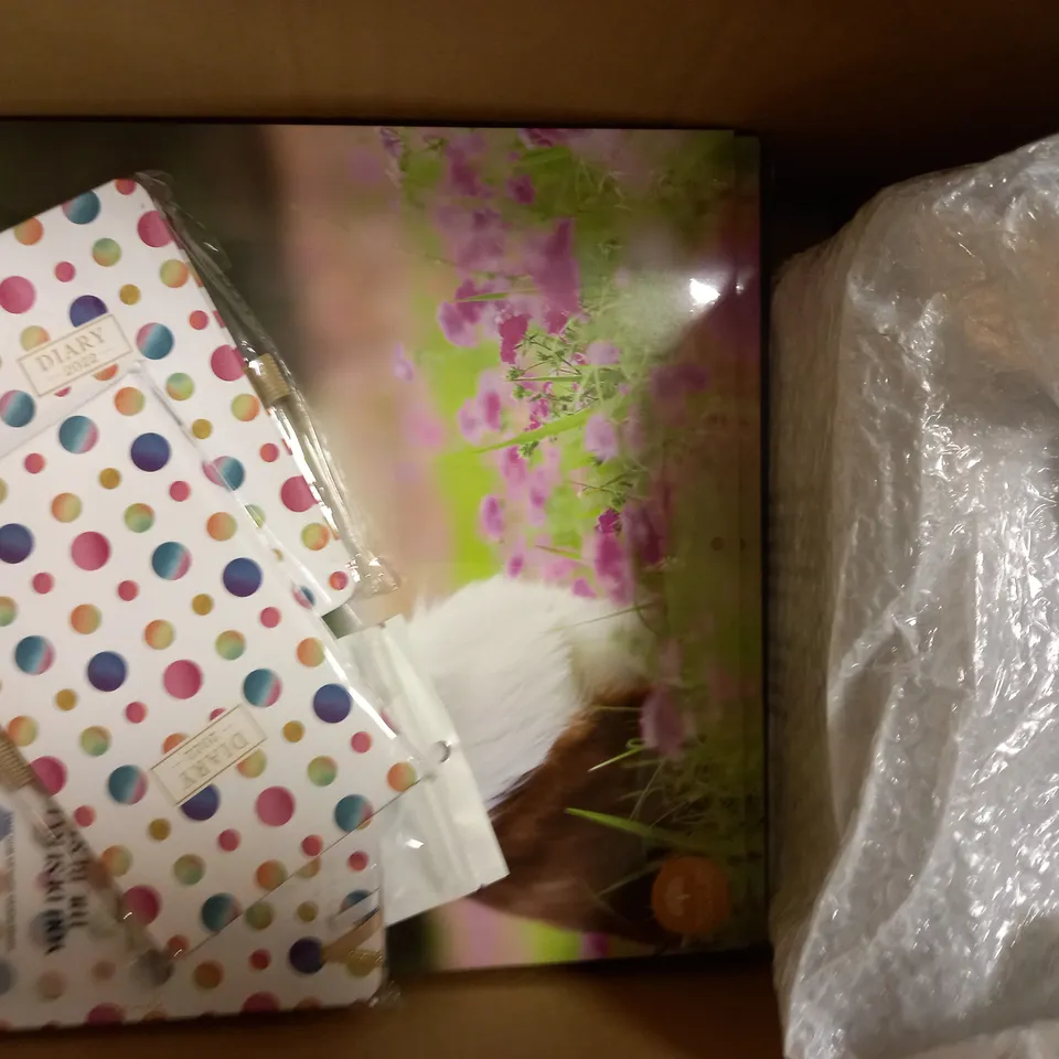 BOX OF APPROXIMATELY 15 ASSORTED HOUSEHOLD ITEMS TO INCLUDE DESIGNER 2022 DIARY, BRIGHT DAY COMPANY 2022 CALENDAR, DESIGNER CABLE, ETC