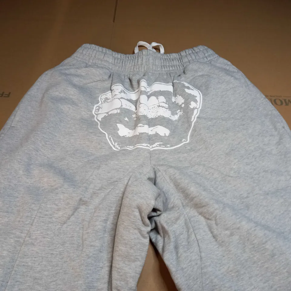 CHROME IMPERIAL EMBROIDED JOGGERS IN GREY - SMALL