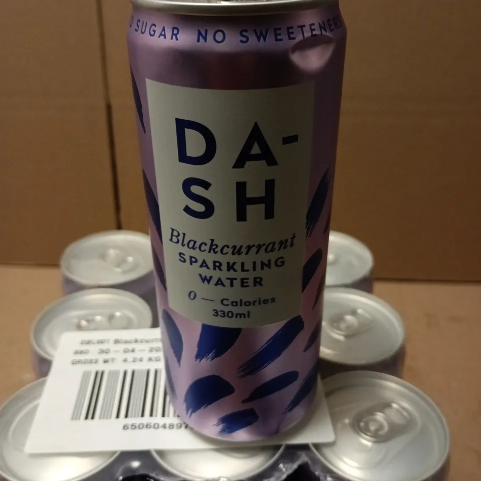 DASH BLACKCURRANT SPARKLING WATER 330ML – PACK OF 12 CANS