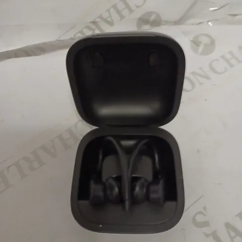 BEATS POWERBEATS PRO TRUE WIRELESS EARBUDS, BLACK