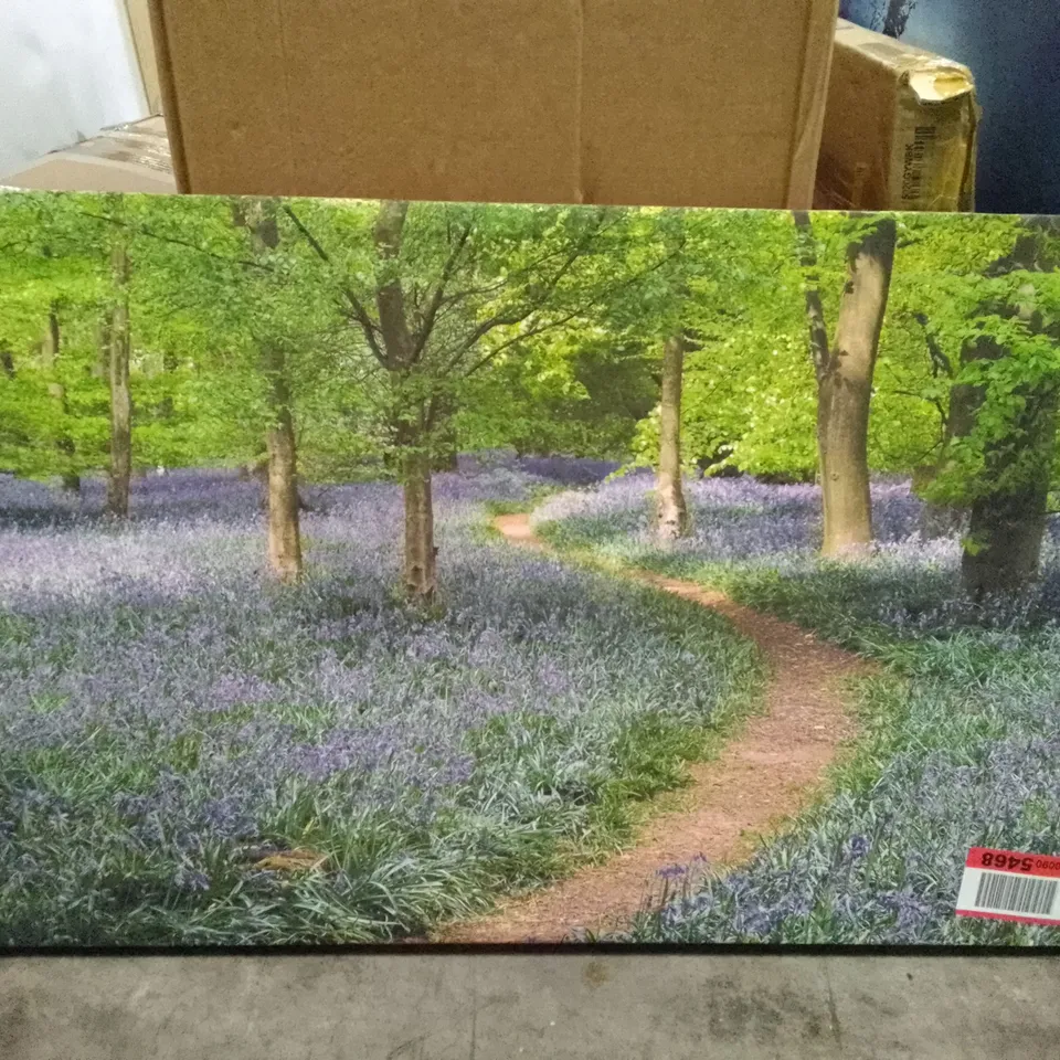 FOREST PATHWAY - WRAPPED CANVAS