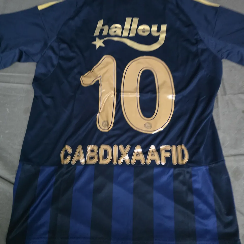 ADIDAS FENERBAHÇE SK FOOTBALL JERSEY, BLUE STRIPED, SIZE L, OTOKOC SPONSOR, NUMBER 10