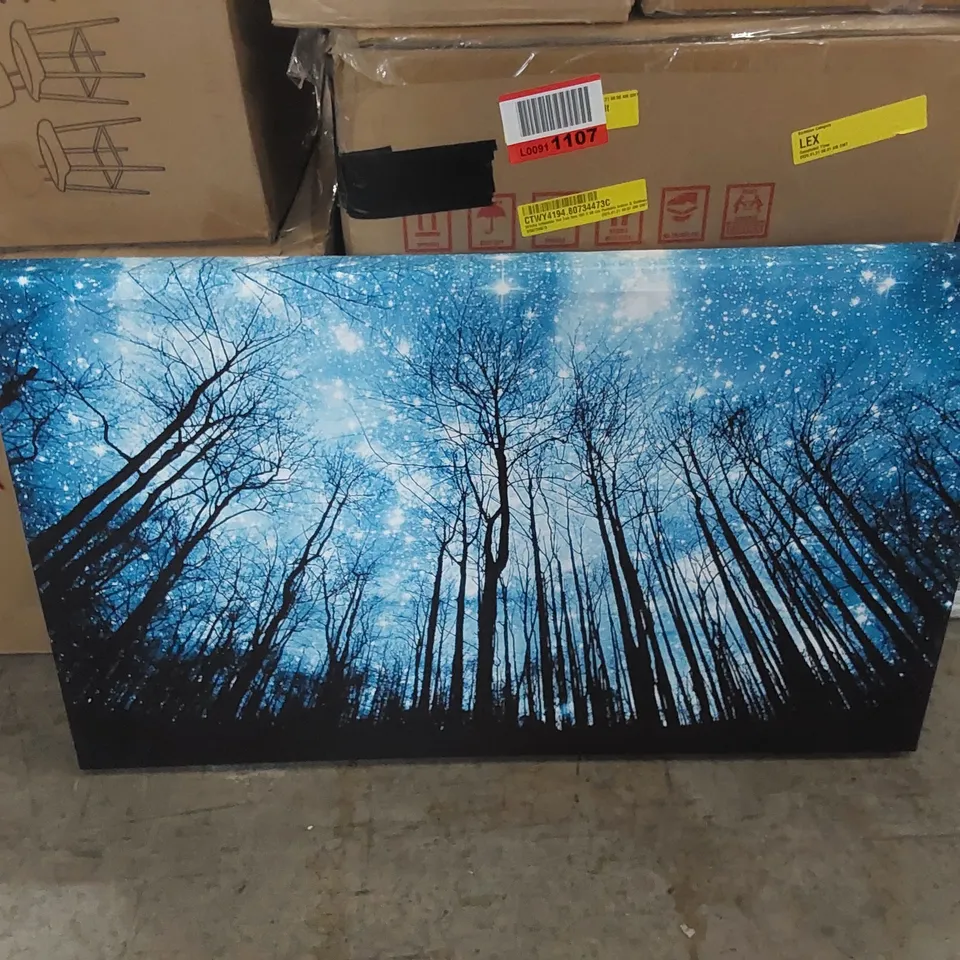 STARRY NIGHT IN THE FOREST FOREST - WRAPPED CANVAS PHOTOGRAPH PRINT