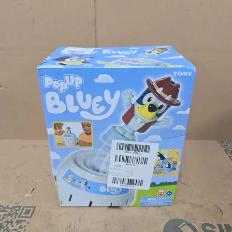BOXED BLUEY POP UP TOY