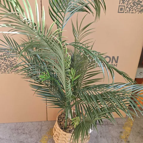 100CM PALM IN PLASTIC ROPE BASKET