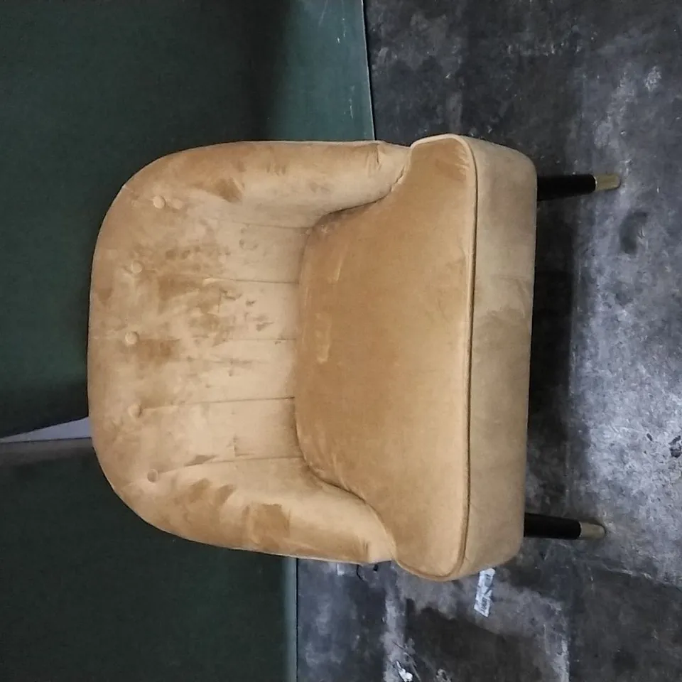 MARLON ARMCHAIR GOLD PLUSH UPHOLSTERY 