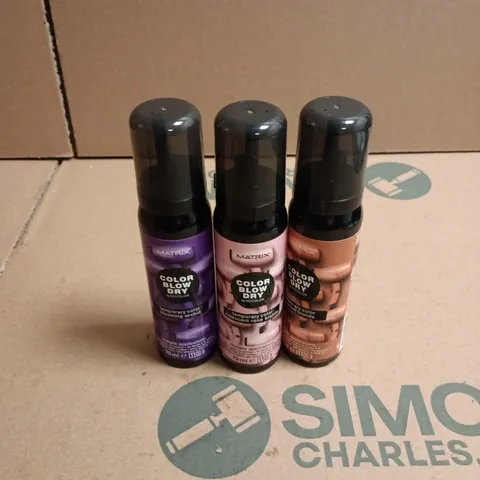 APPROXIMATELY 22 X ASSORTED MATRIX COLOR BLOW DRY HAIR CARE PRODUCTS TO INCLUDE BLOOMING ORCHARD, ROSE BLONDE ETC