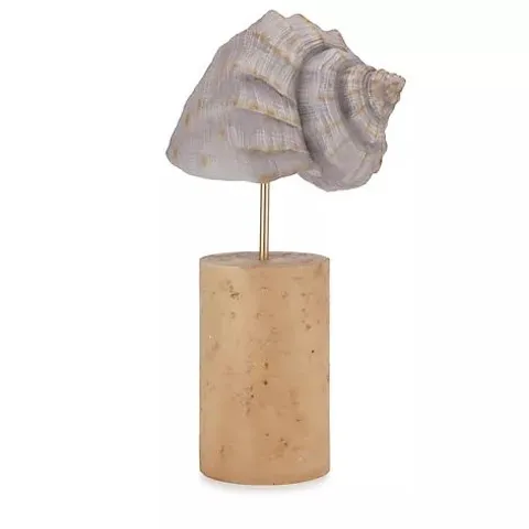 GARDEN REFLECTIONS COASTAL EDIT CONCH SHELL