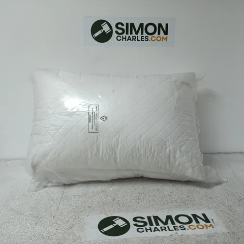 SET OF 2 PILLOWS