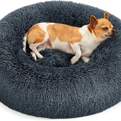 BOXEE FEANDREA DOG BED