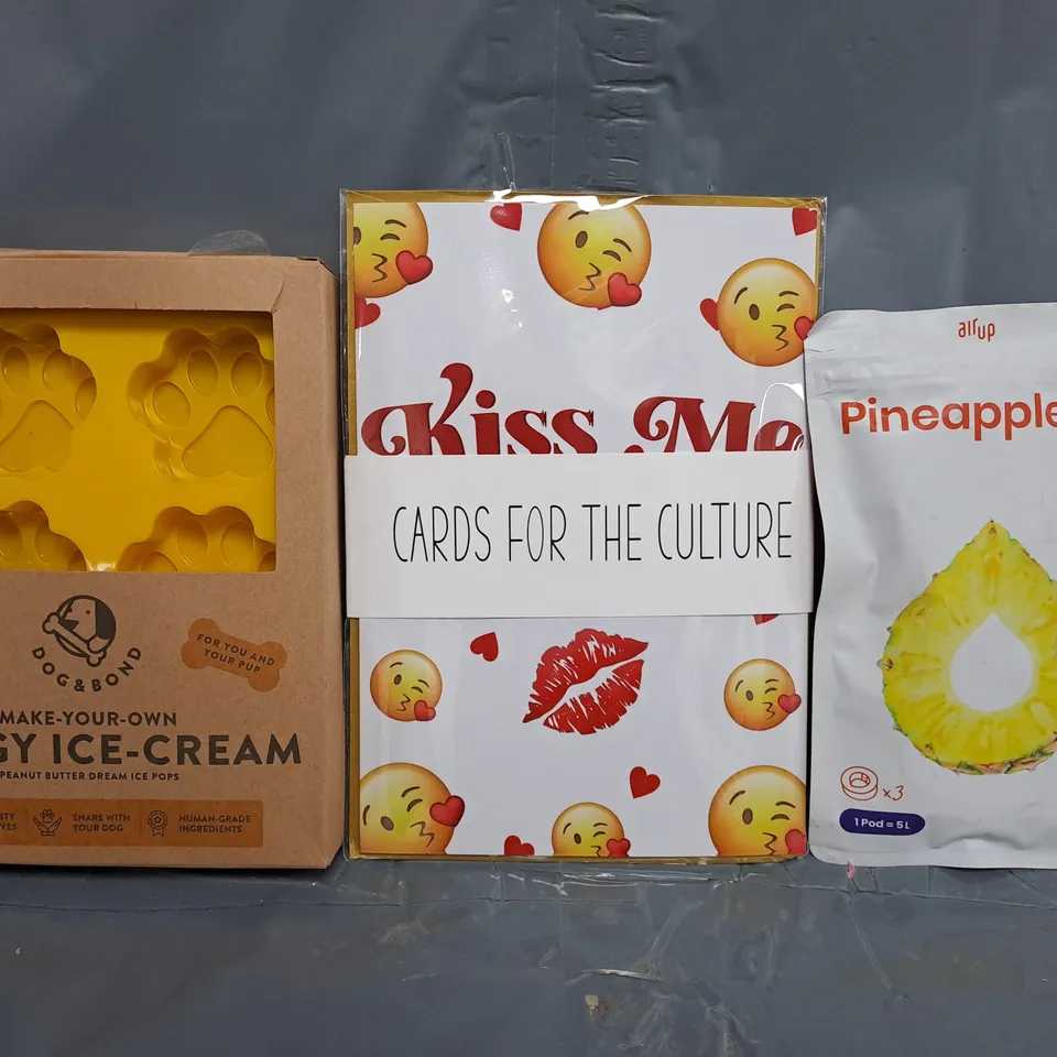 APPROXIMATELY 10 ASSORTED HOUSEHOLD ITEMS TO INCLUDE AIR UP PINEAPPLE POD, MAKE YOUR OWN DOGGY ICE-CREAM, ETC