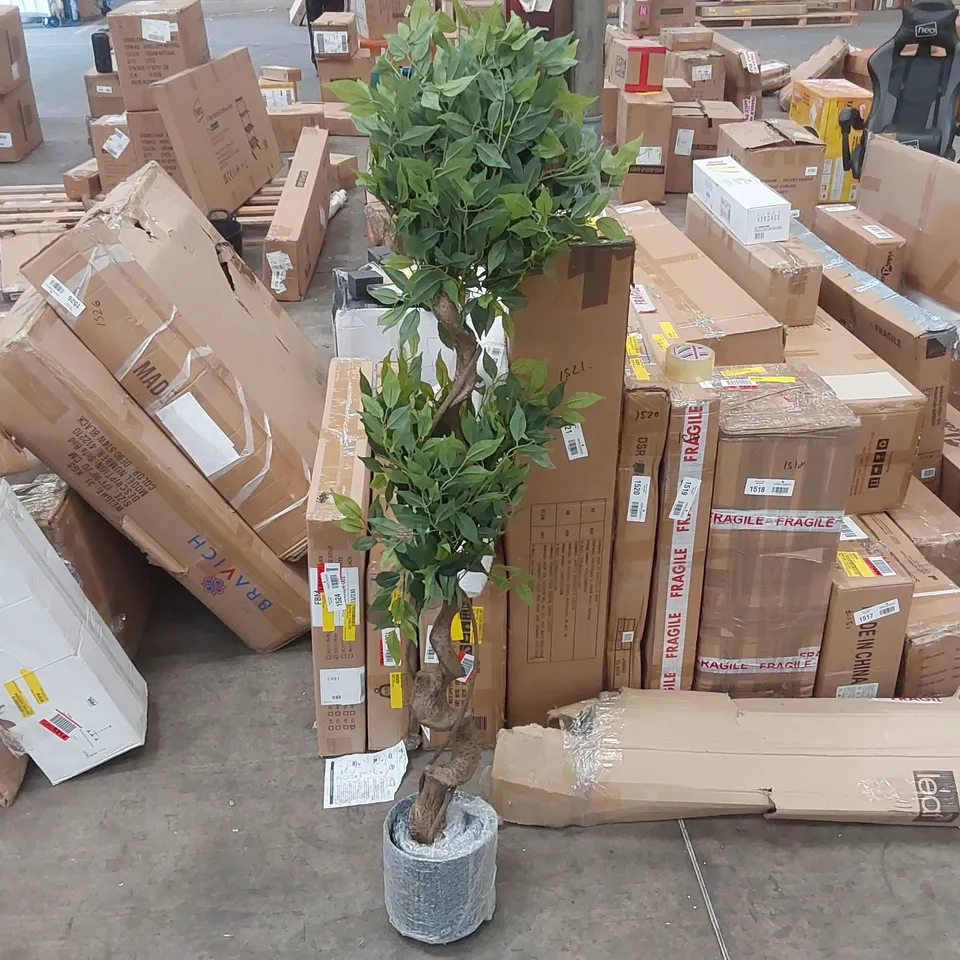 BOXED FAUX FICUS TREE
