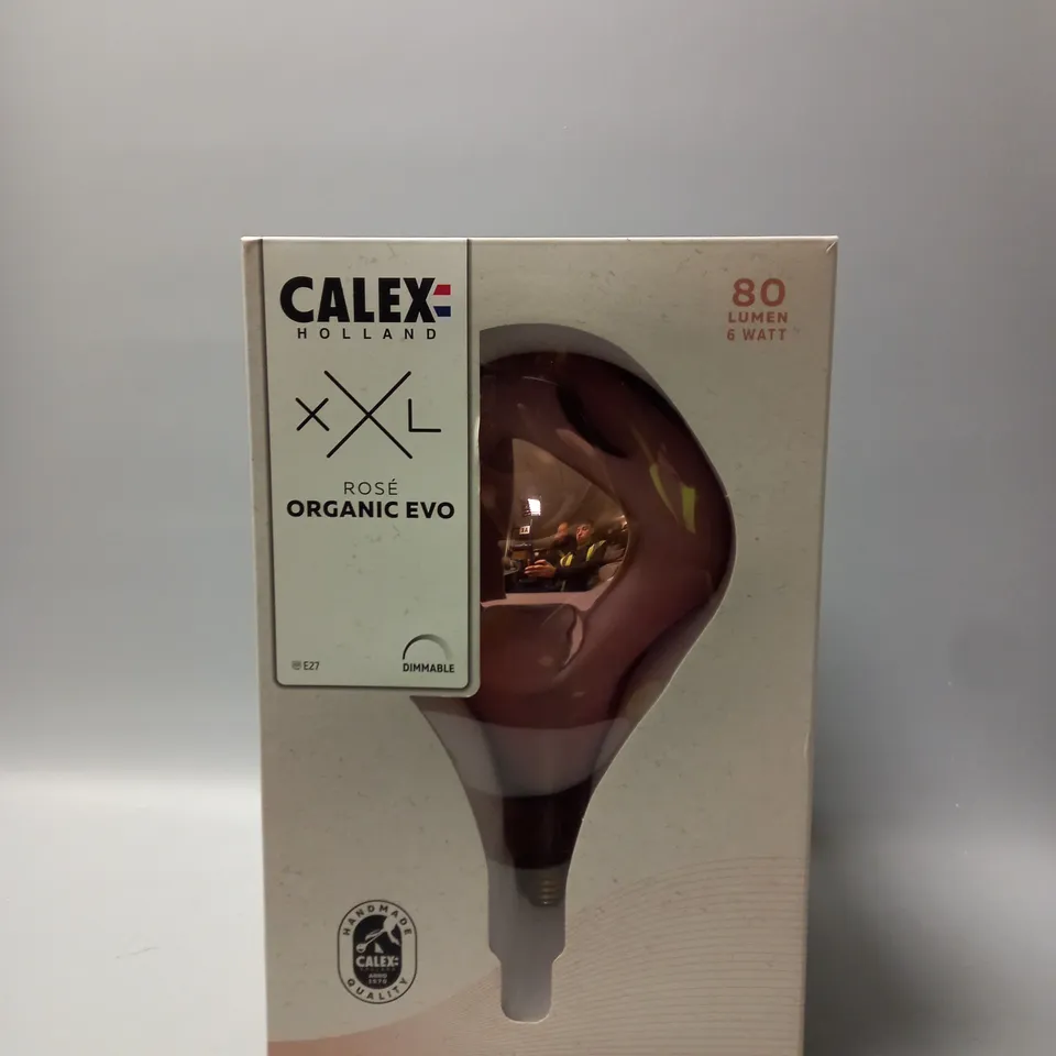 BOXED CALEX HOLLAND XXL ROSE ORGANIC EVO 80 LUMEN 6 WATT
