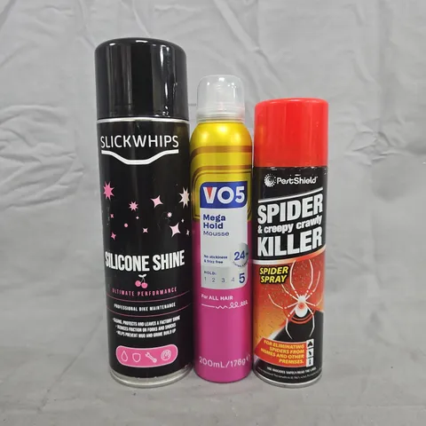 APPROXIMATELY 10 ASSORTED ITEMS TO INCLUDE SPIDER KILLER, BIKE MAINTENANCE SPRAY, VO5 MOUSSE, ETC - COLLECTION ONLY