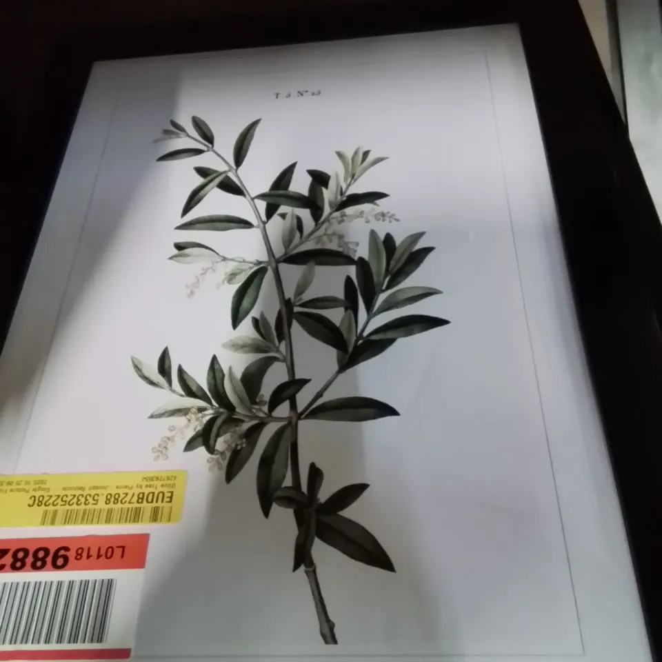 FIVE ASSORTED FRAMED PRINTS