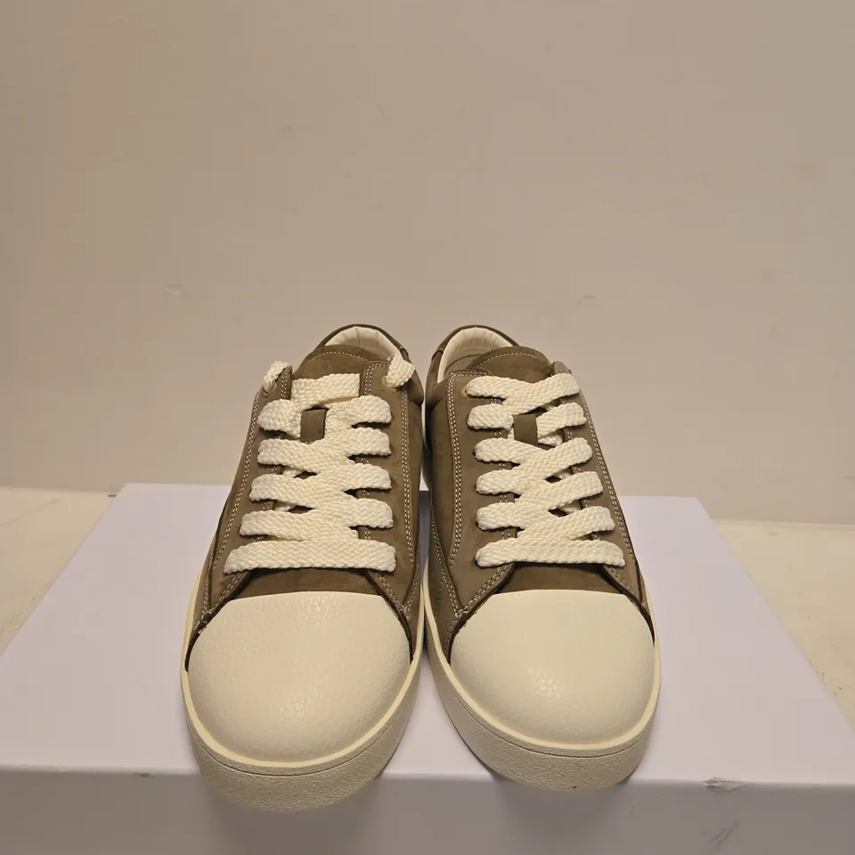BOXED PAIR OF JUDE LLOW NICO BROWN & WHITE SNEAKER – UK 8