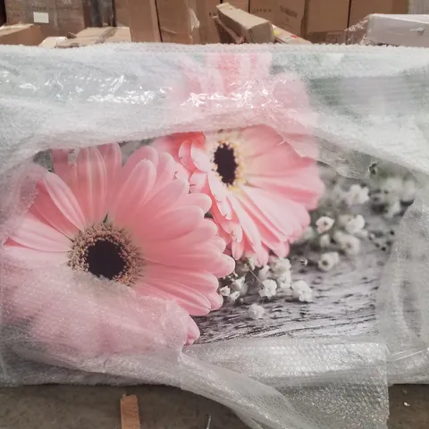 PINK GERBERA LAYING DOWN CLOSE - WRAPPED CANVAS PRINT