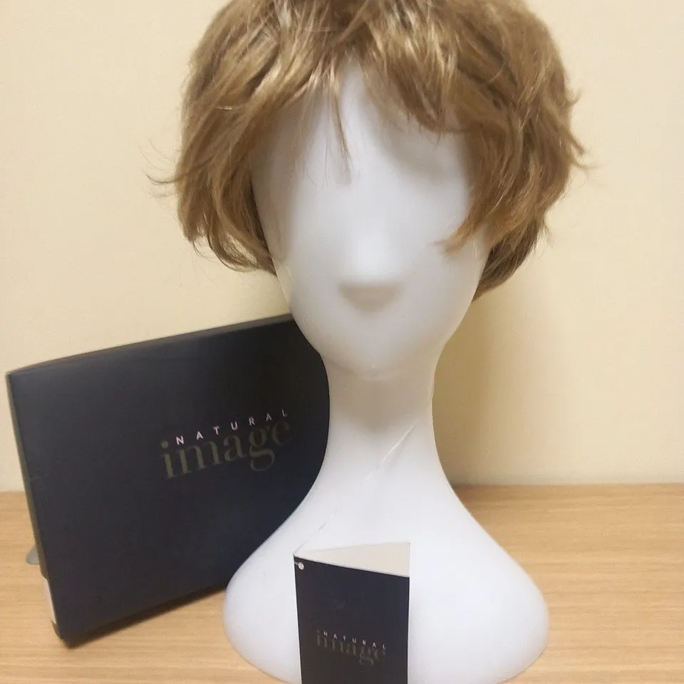 BOXED NATURAL IMAGE ABSOLUTELY AVERAGE PRALINE MIST WIG