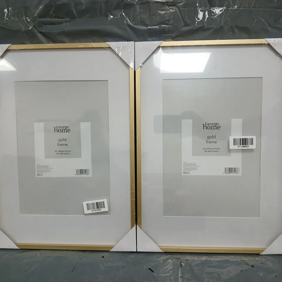 SET OF 2 PICTURE/PHOTO FRAMES W. GOLD FRAME (A3 WITHOUT MOUNT, A4 WITH MOUNT)