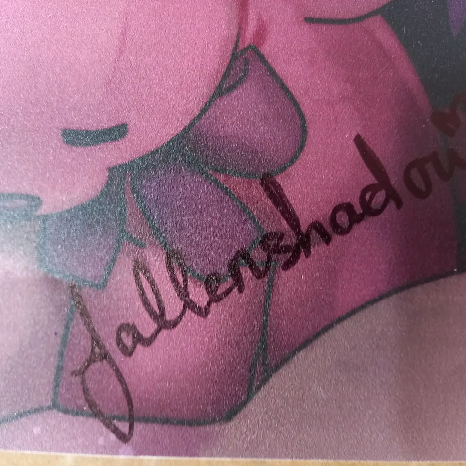 FALLENSHADOW SIGNED ANIME ART PRINT #179